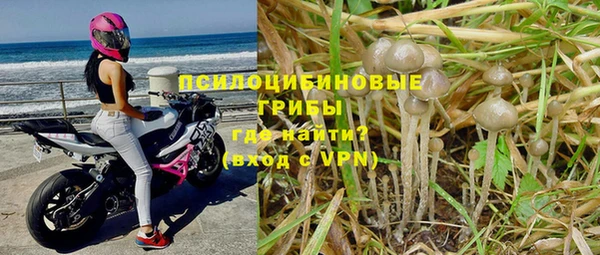 метадон Костерёво