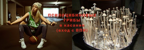прущие крисы Корсаков
