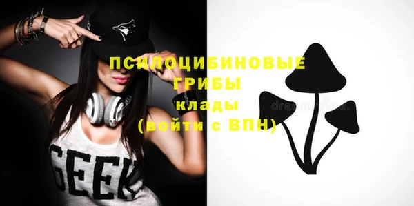 прущие крисы Корсаков