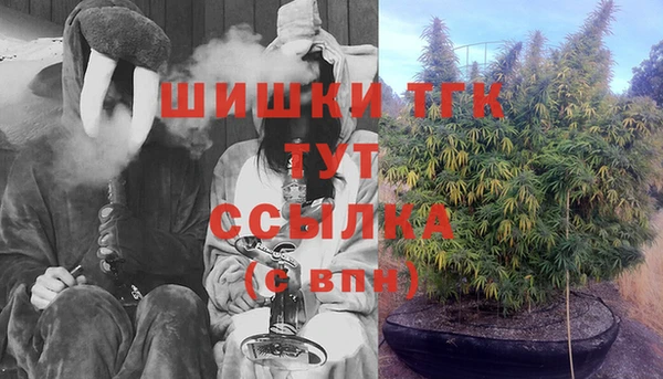 прущие крисы Корсаков