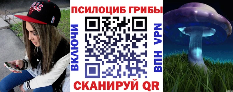 Купить где  Макаров  Псилоцибиновые грибы Psilocybine cubensis 